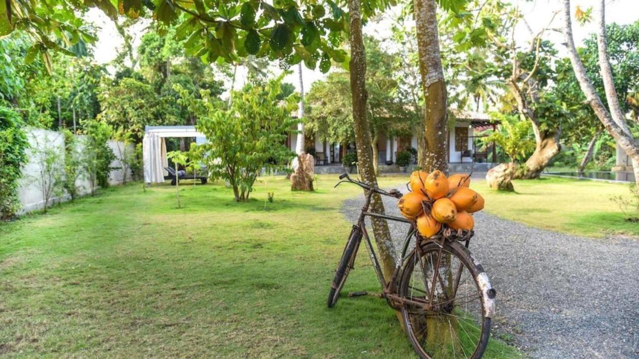 Antique Ceylon Villa Ахангама Екстериор снимка